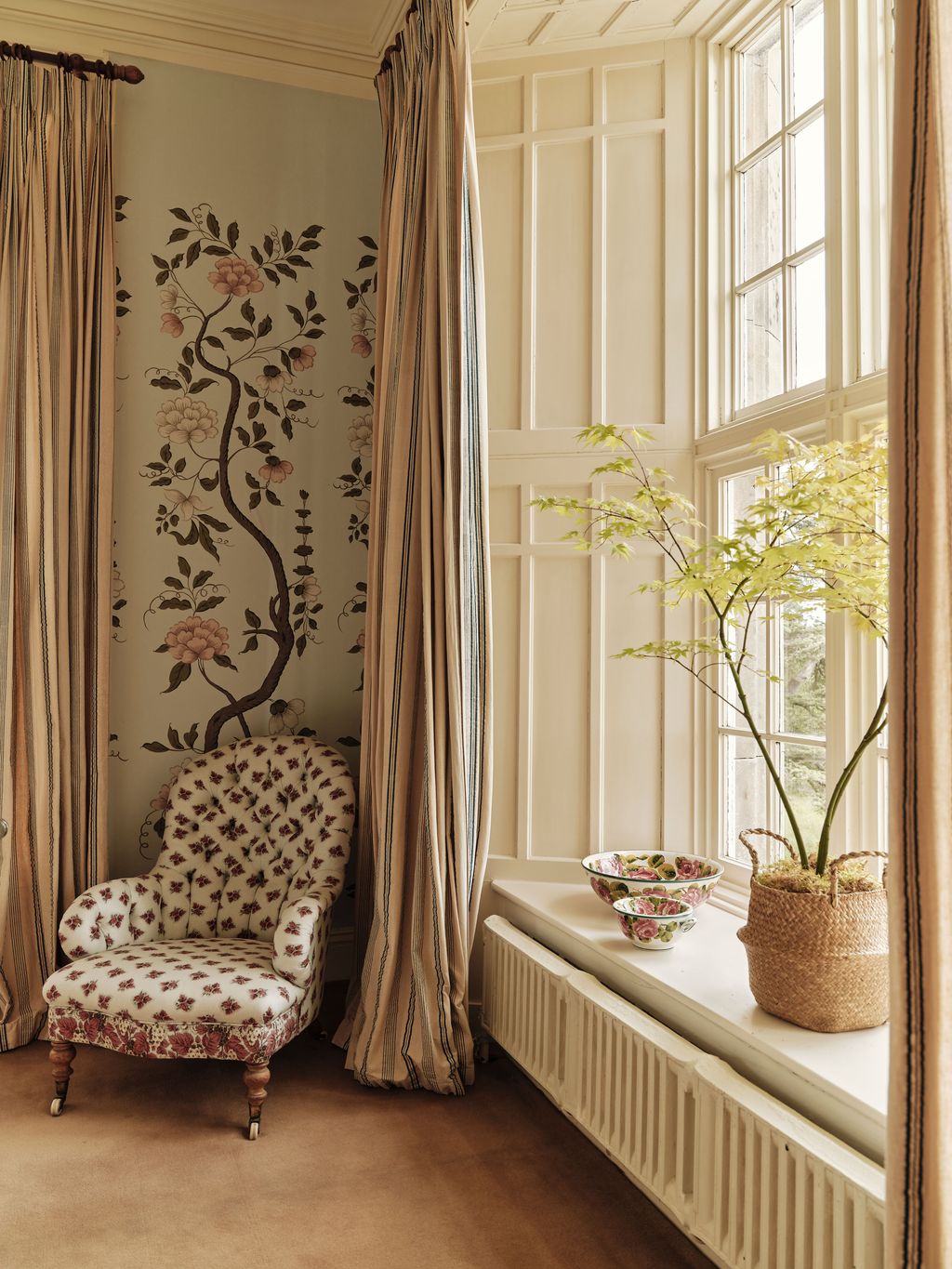 Image may contain Plant Chair Furniture Window and Windowsill