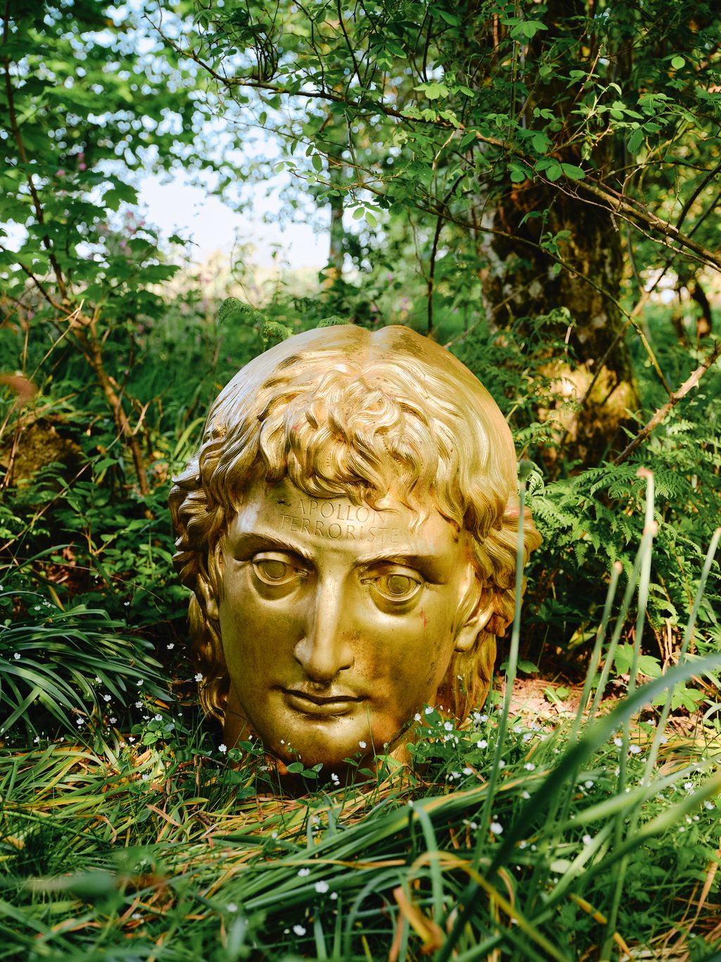 Image may contain Drusus Julius Caesar Plant Vegetation Jungle Nature Outdoors Land Tree Woodland Face and Head