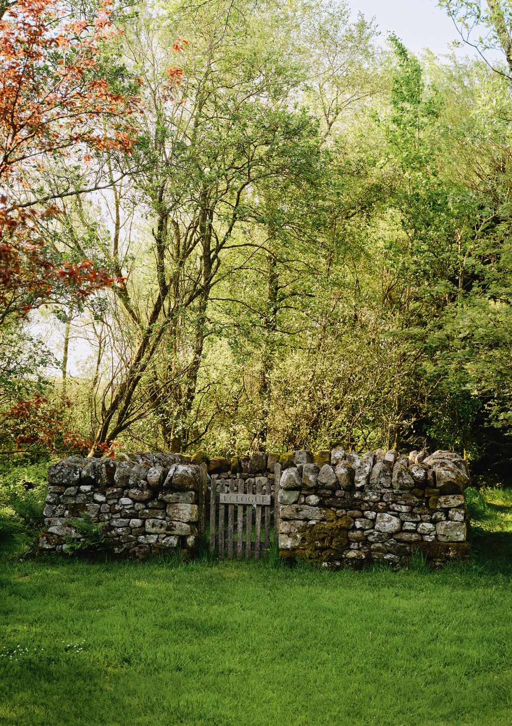 Image may contain Grove Land Nature Outdoors Plant Tree Vegetation Woodland Grass Rock Architecture and Building