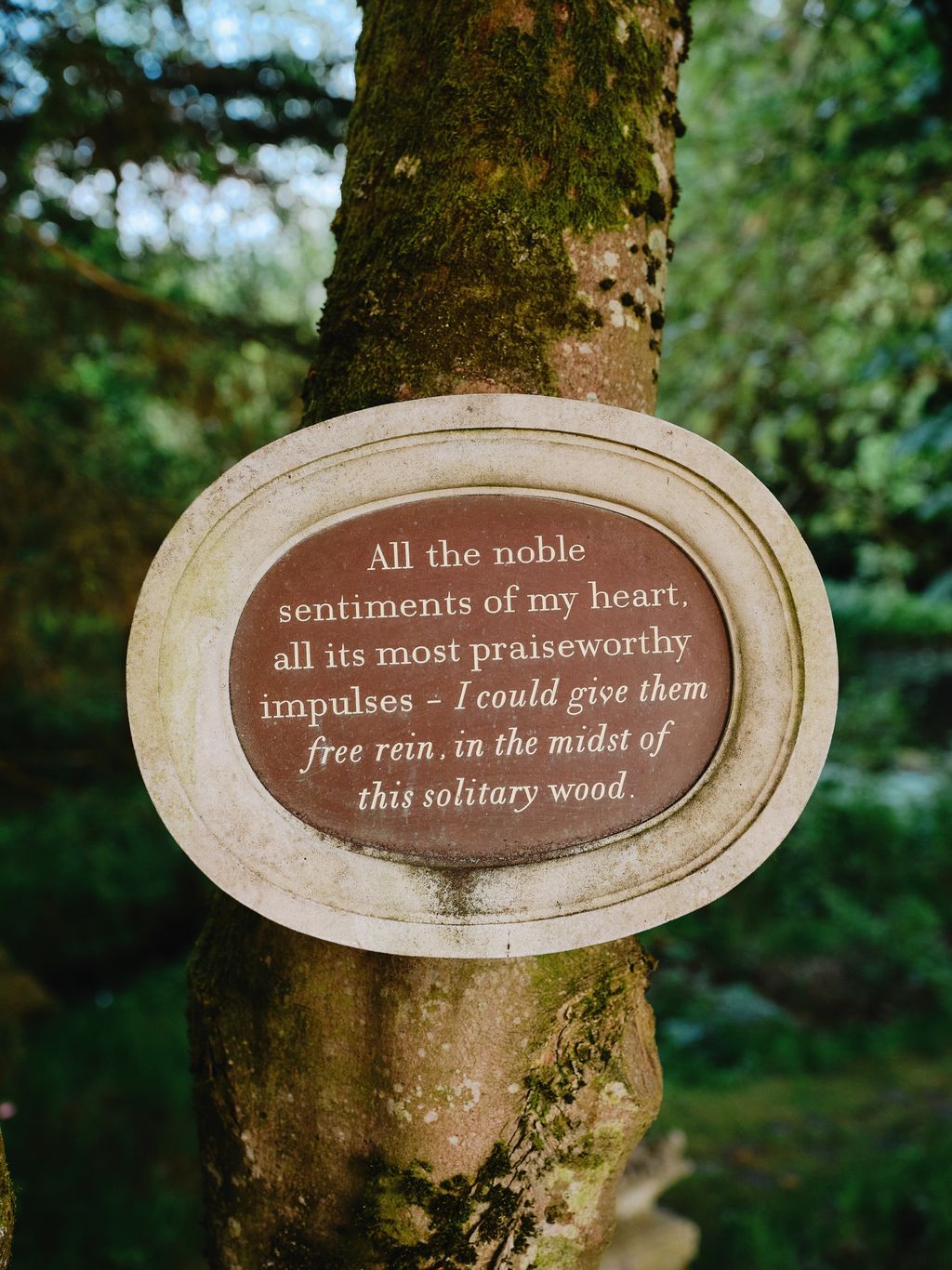 Image may contain Plant Tree Vegetation Tree Trunk Land Nature Outdoors Woodland and Plaque