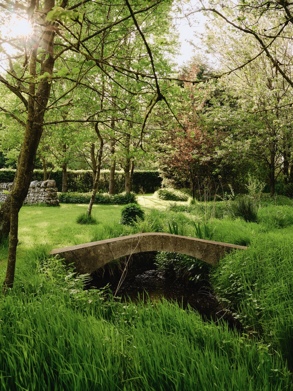 Image may contain Grass Grove Land Nature Outdoors Park Plant Tree Vegetation Woodland Green Pond and Water