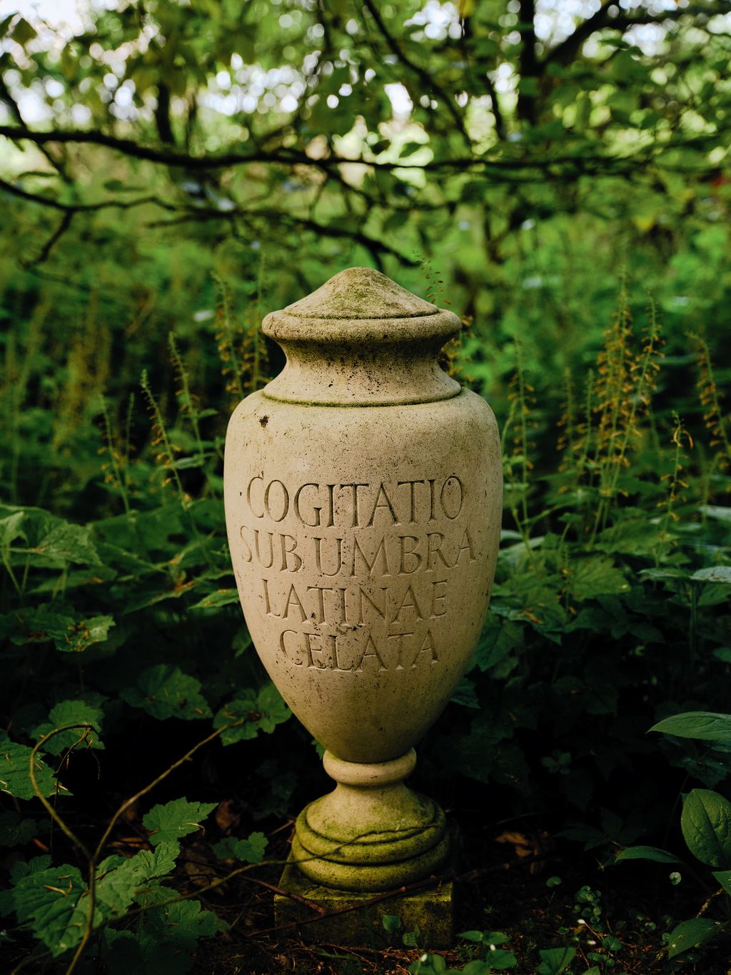 Image may contain Jar Pottery Urn Cookware and Pot