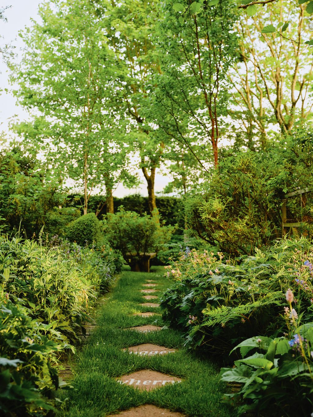 Image may contain Garden Nature Outdoors Plant Vegetation Grass Grove Land Tree Woodland Park Path and Herbal