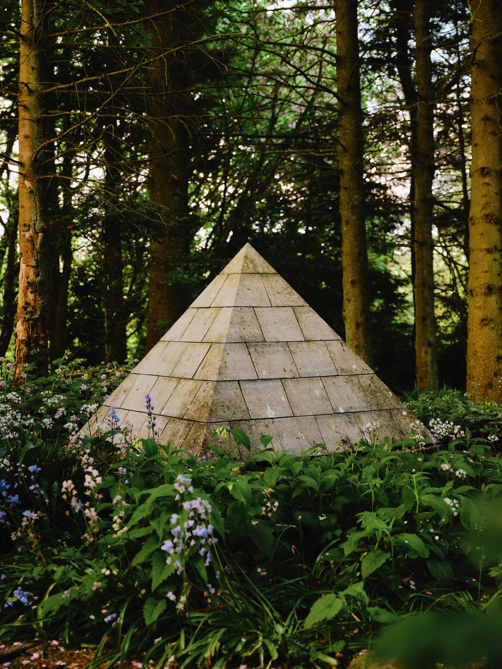 Image may contain Plant Vegetation Grove Land Nature Outdoors Tree Woodland Jungle Architecture and Building