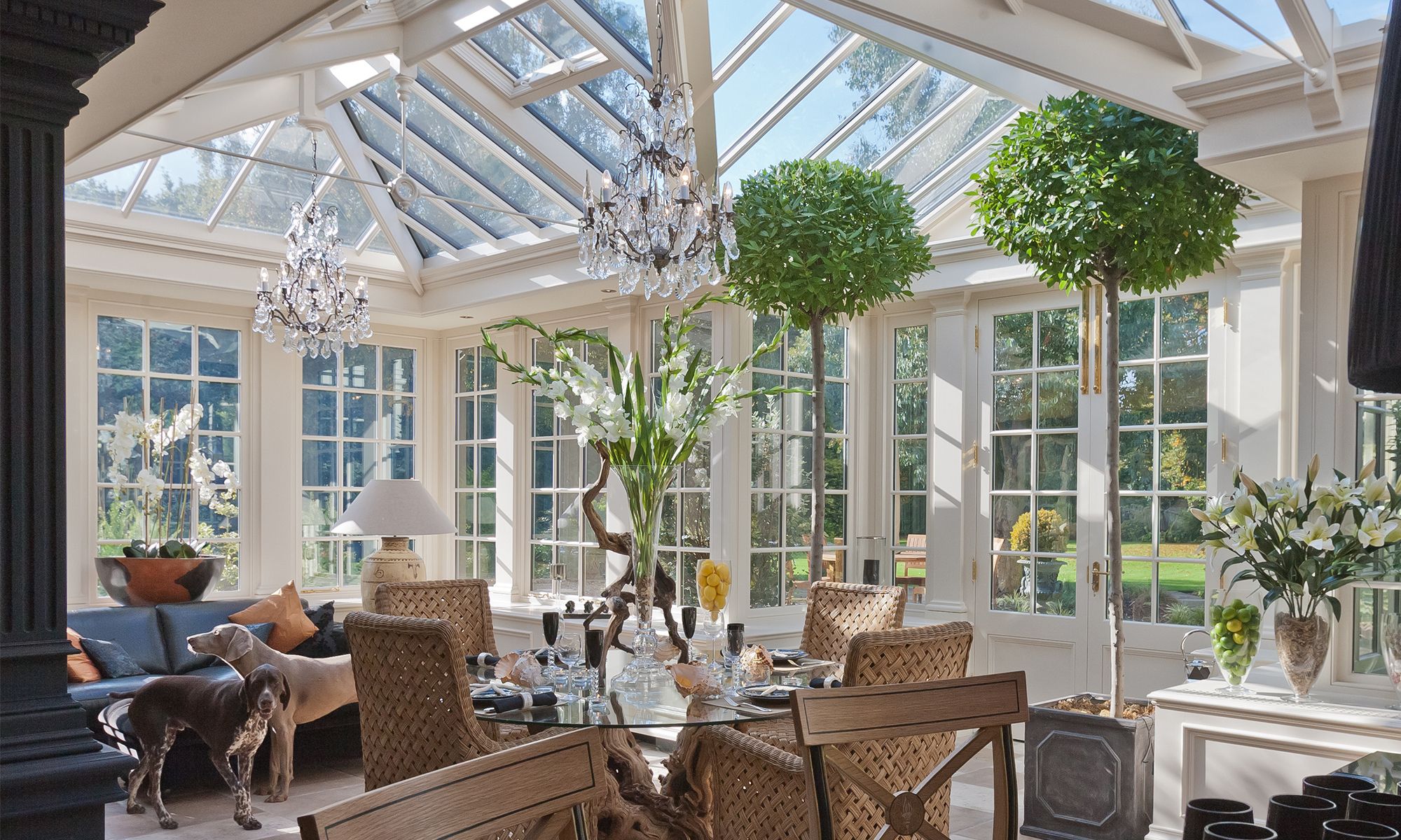 Image may contain: Lamp, Window, French Window, Plant, Chair, Furniture, Animal, Canine, Dog, Mammal, Pet, Person, and Table