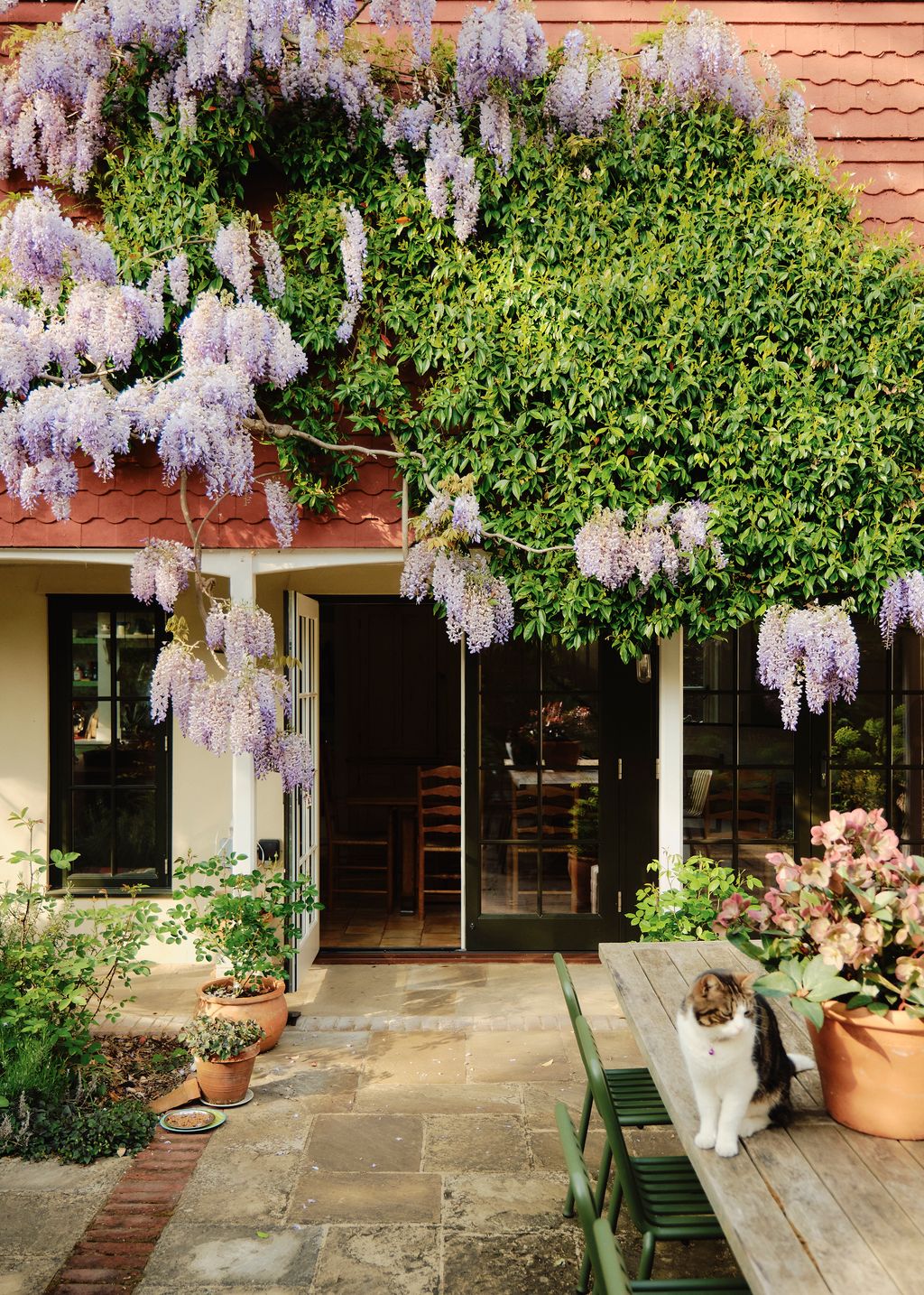 Image may contain Plant Potted Plant Path Walkway Indoors Interior Design Floor Jar Planter Pottery and Vase