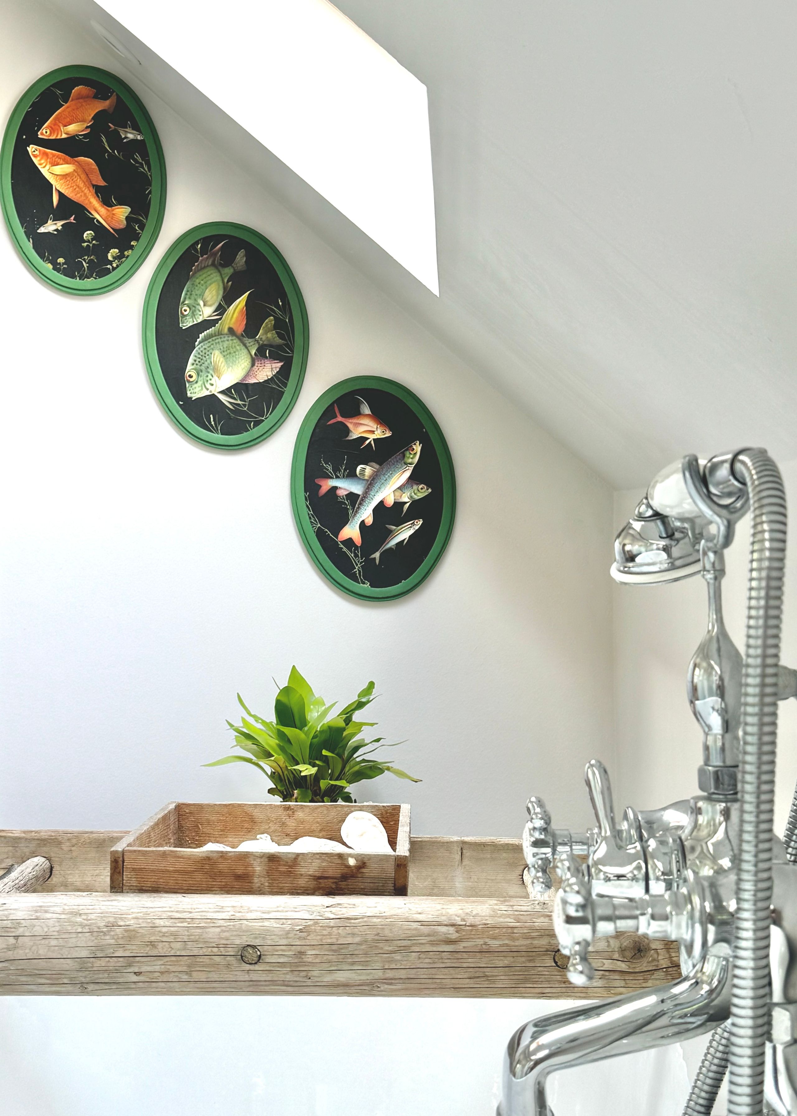 Image may contain: Sink, Sink Faucet, Plant, Potted Plant, Animal, Fish, Sea Life, Indoors, and Interior Design