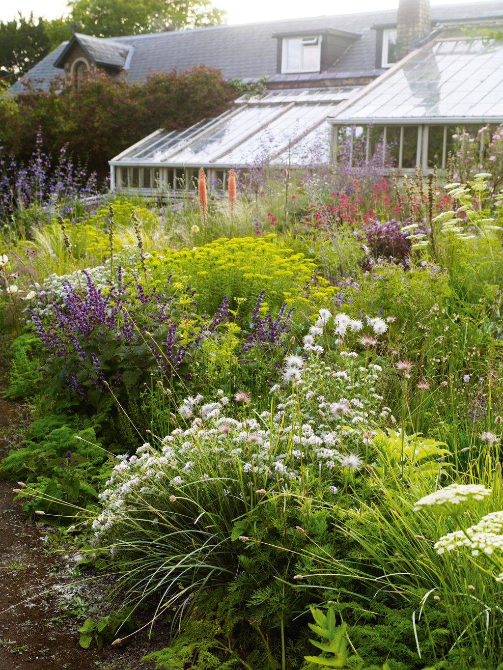 Image may contain Garden Nature Outdoors Herbal Herbs Plant Vegetation Gardening Grass Flower Backyard and Yard