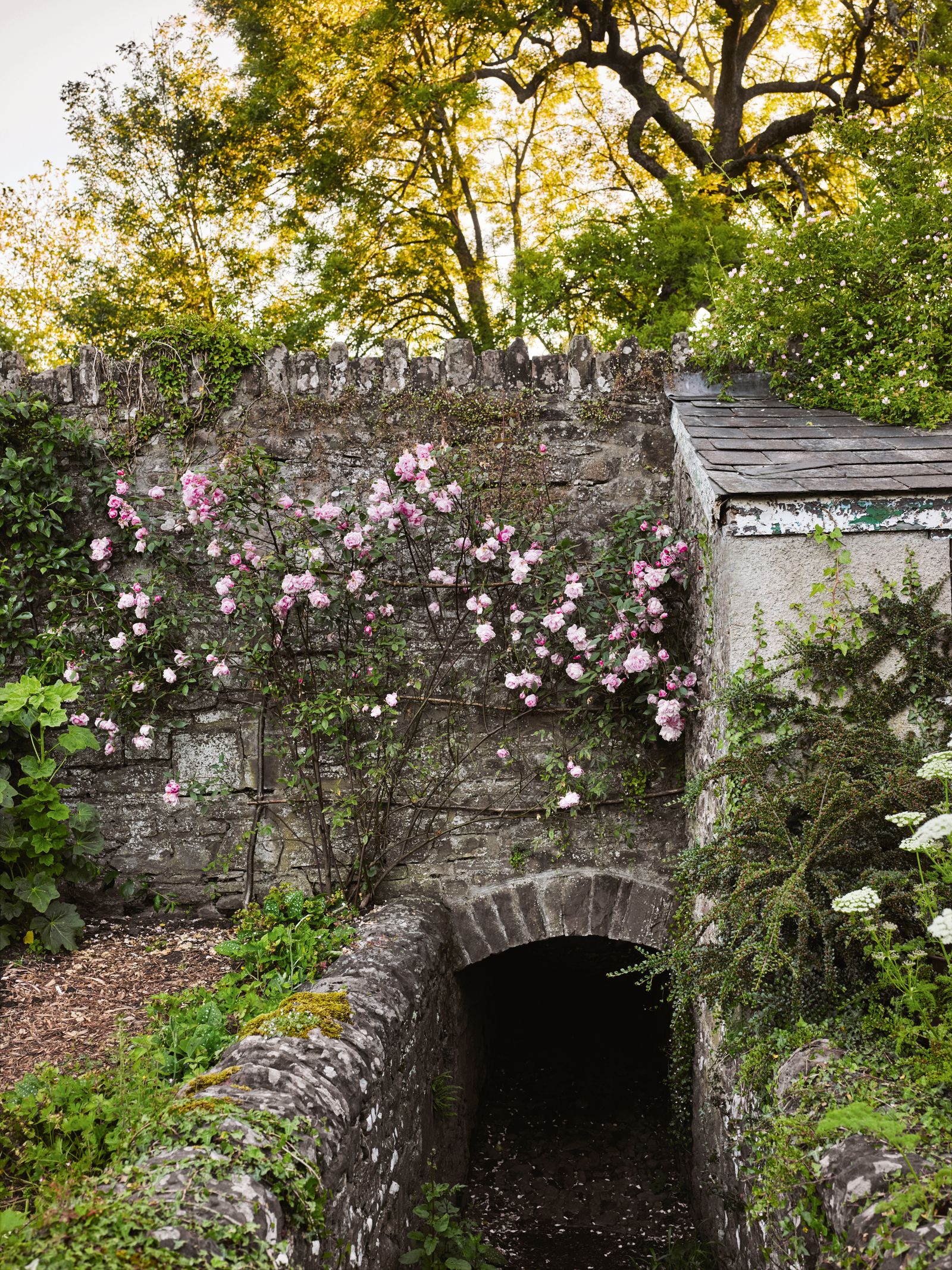 Image may contain Architecture Building Outdoors Shelter Plant Vegetation Tree Arch Rock Path Land and Nature