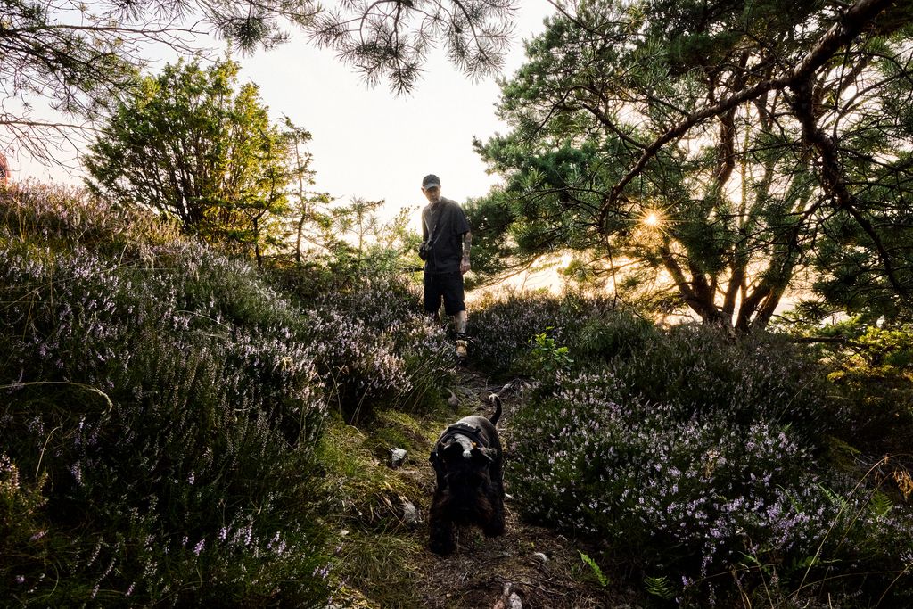 Image may contain Plant Vegetation Person Walking Land Nature Outdoors Tree Woodland Photography and Grove