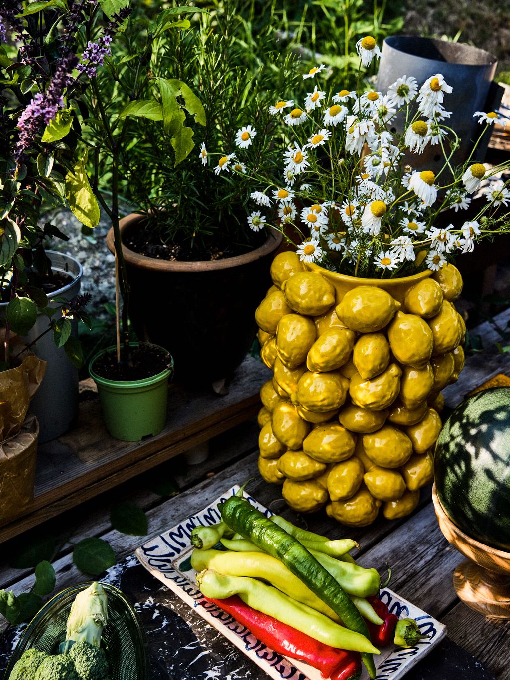 Image may contain Plate Plant Potted Plant Cookware Pot Herbs Herbal Food Produce Squash Vegetable and Nature