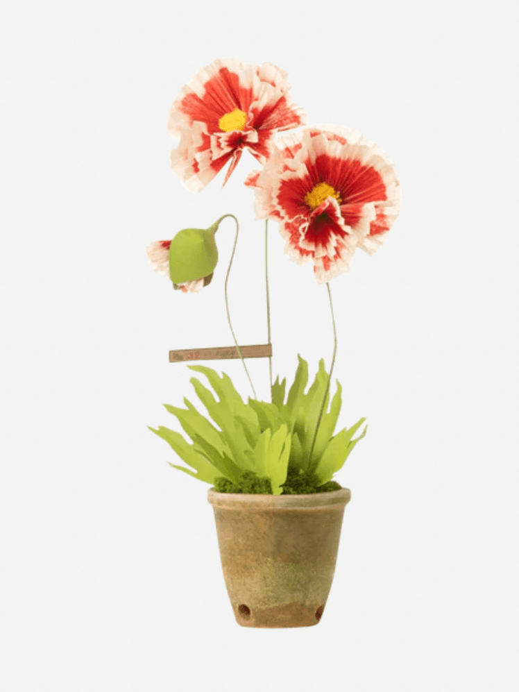 Image may contain: Flower, Plant, Flower Arrangement, Ikebana, and Potted Plant