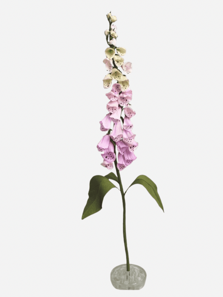 Image may contain: Sir John Tenniel, Flower, Plant, Flower Arrangement, and Foxglove