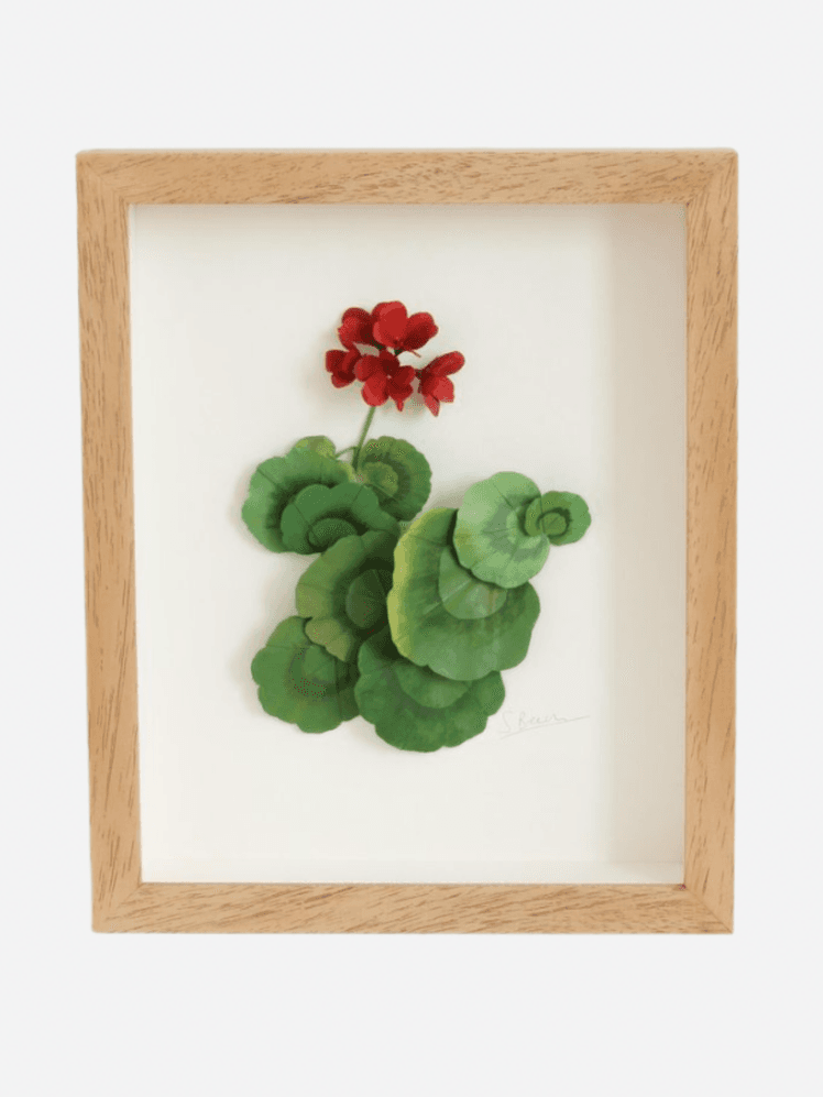 Image may contain: Plant