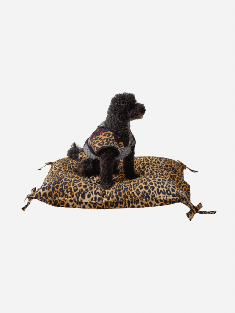 Image may contain: Animal, Canine, Mammal, Dog, Pet, Poodle, Couch, and Furniture