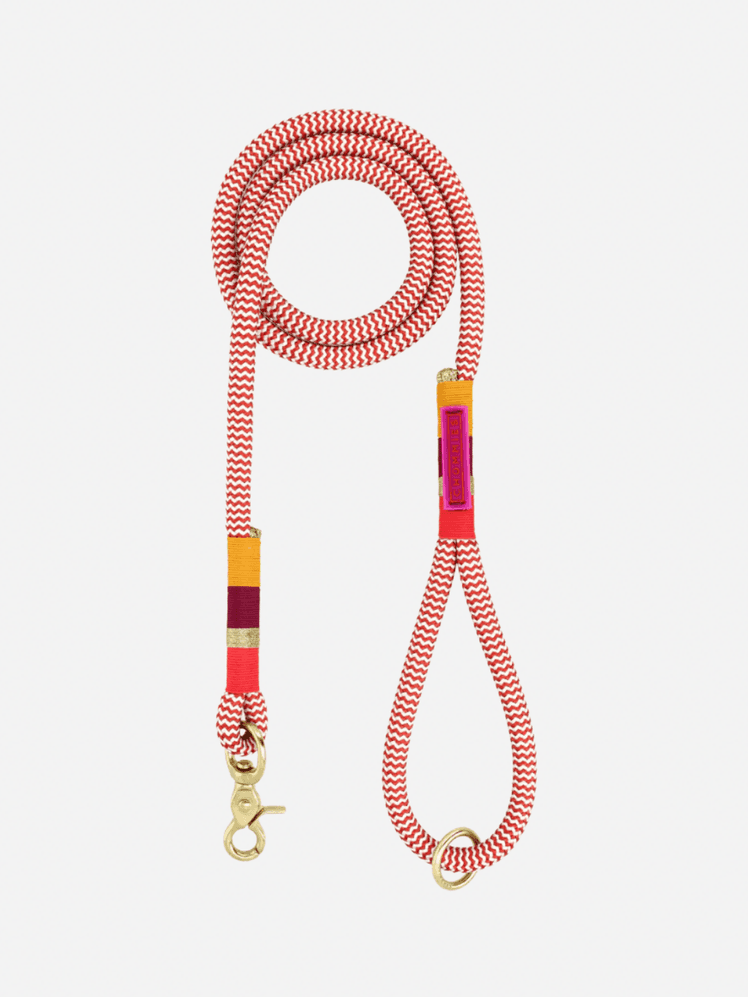 Image may contain: Accessories, Leash, Jewelry, Bracelet, and Necklace