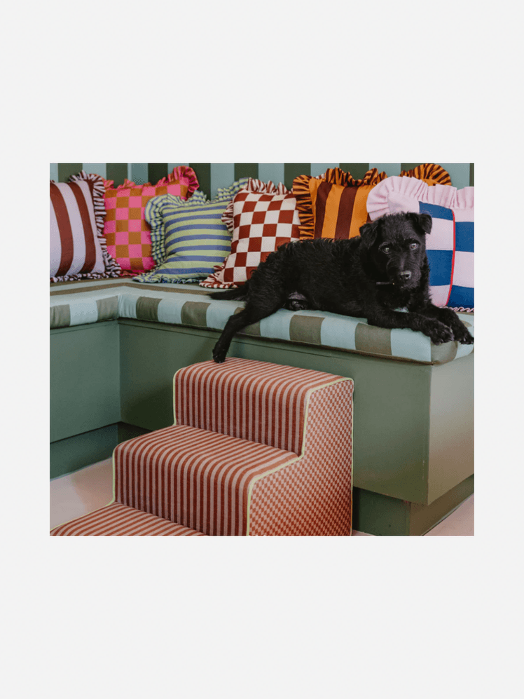 Image may contain: Couch, Furniture, Cushion, Home Decor, Architecture, Building, Indoors, Living Room, Room, and Animal