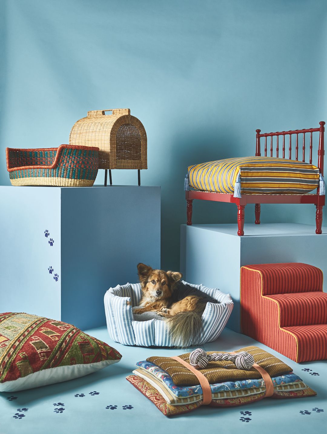 Image may contain Cushion Home Decor Bed Furniture Animal Canine Dog Mammal Pet and Chair