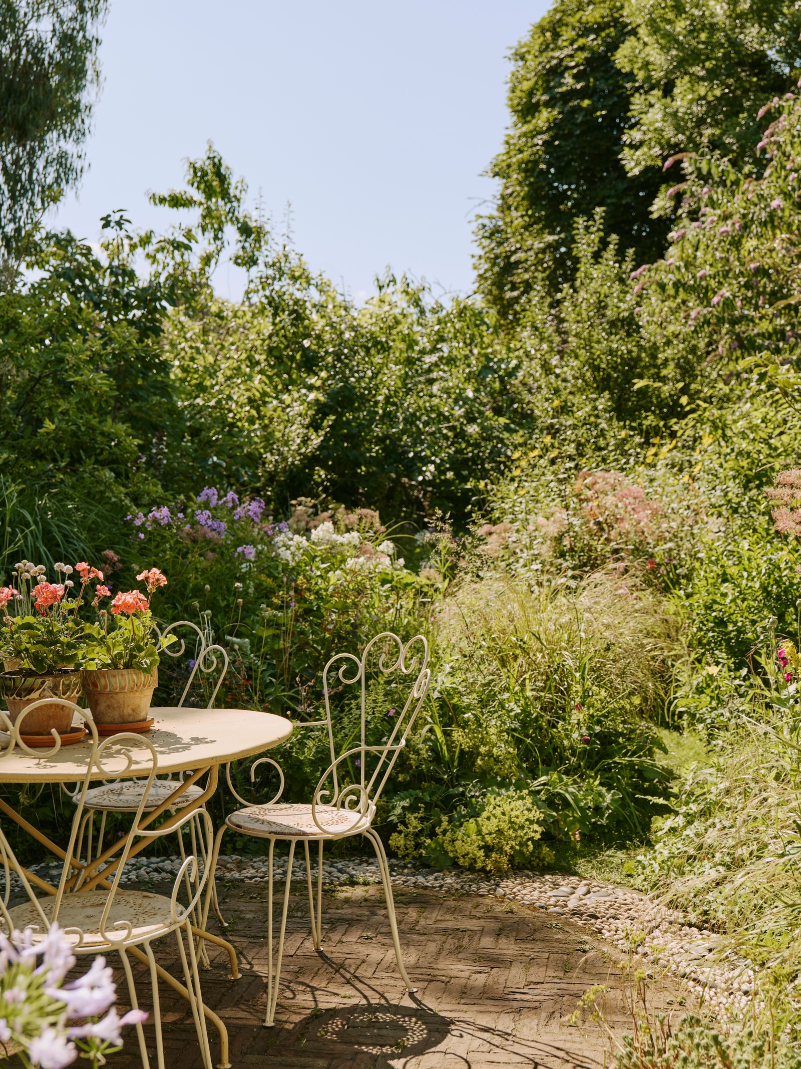 Image may contain Garden Nature Outdoors Dining Table Furniture Table Backyard Yard Plant Potted Plant and Chair