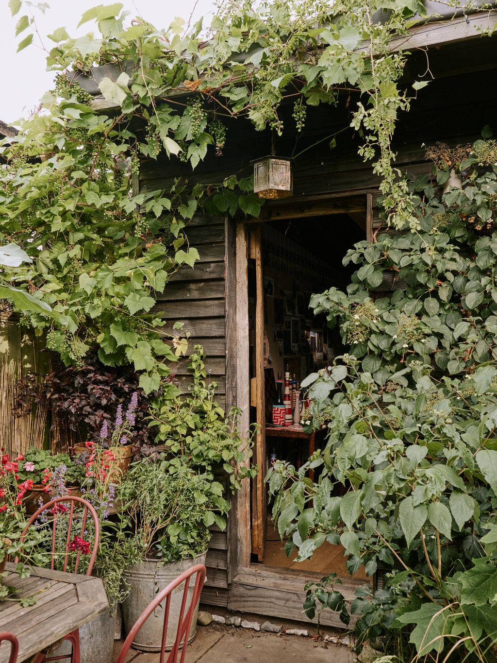 Image may contain Plant Potted Plant Jar Planter Pottery Vase Garden Nature Outdoors Indoors and Interior Design