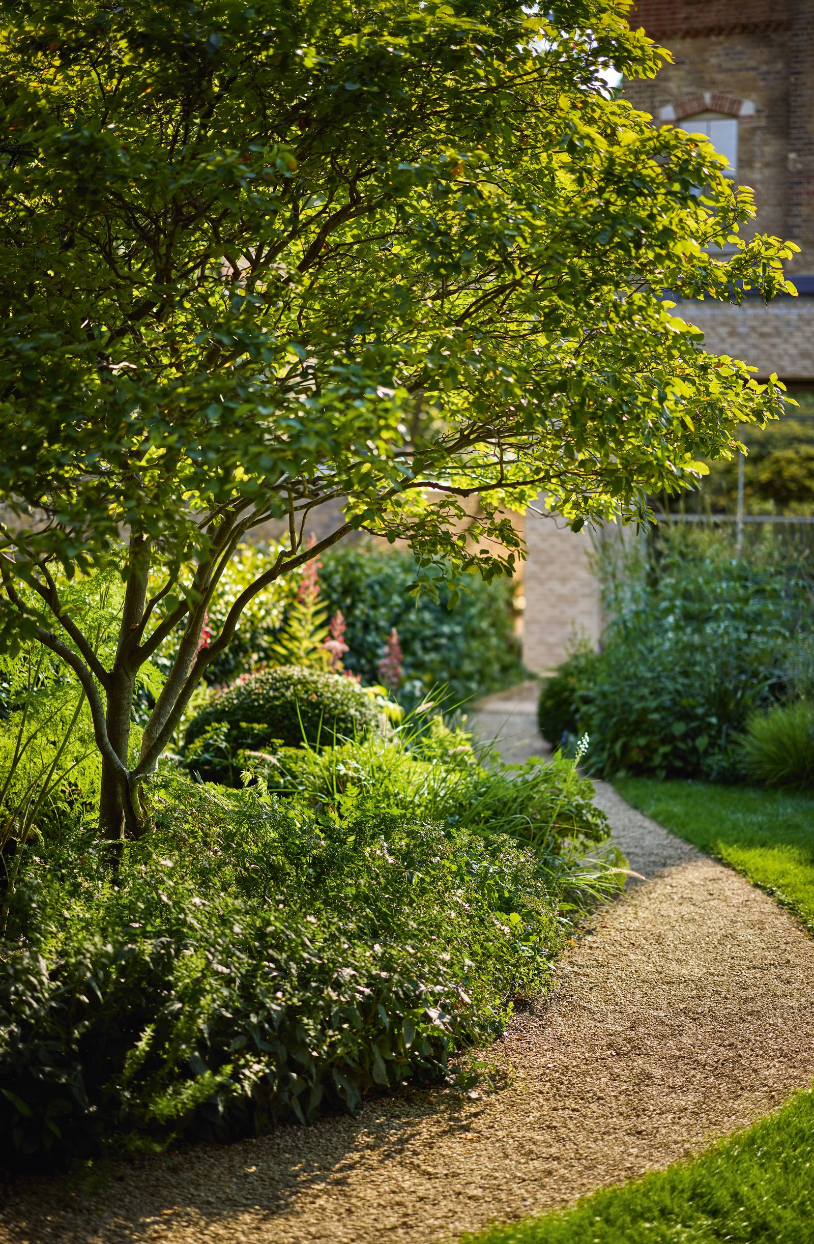 Image may contain Path Grass Plant Walkway Vegetation Tree Garden Nature Outdoors Park Backyard and Yard