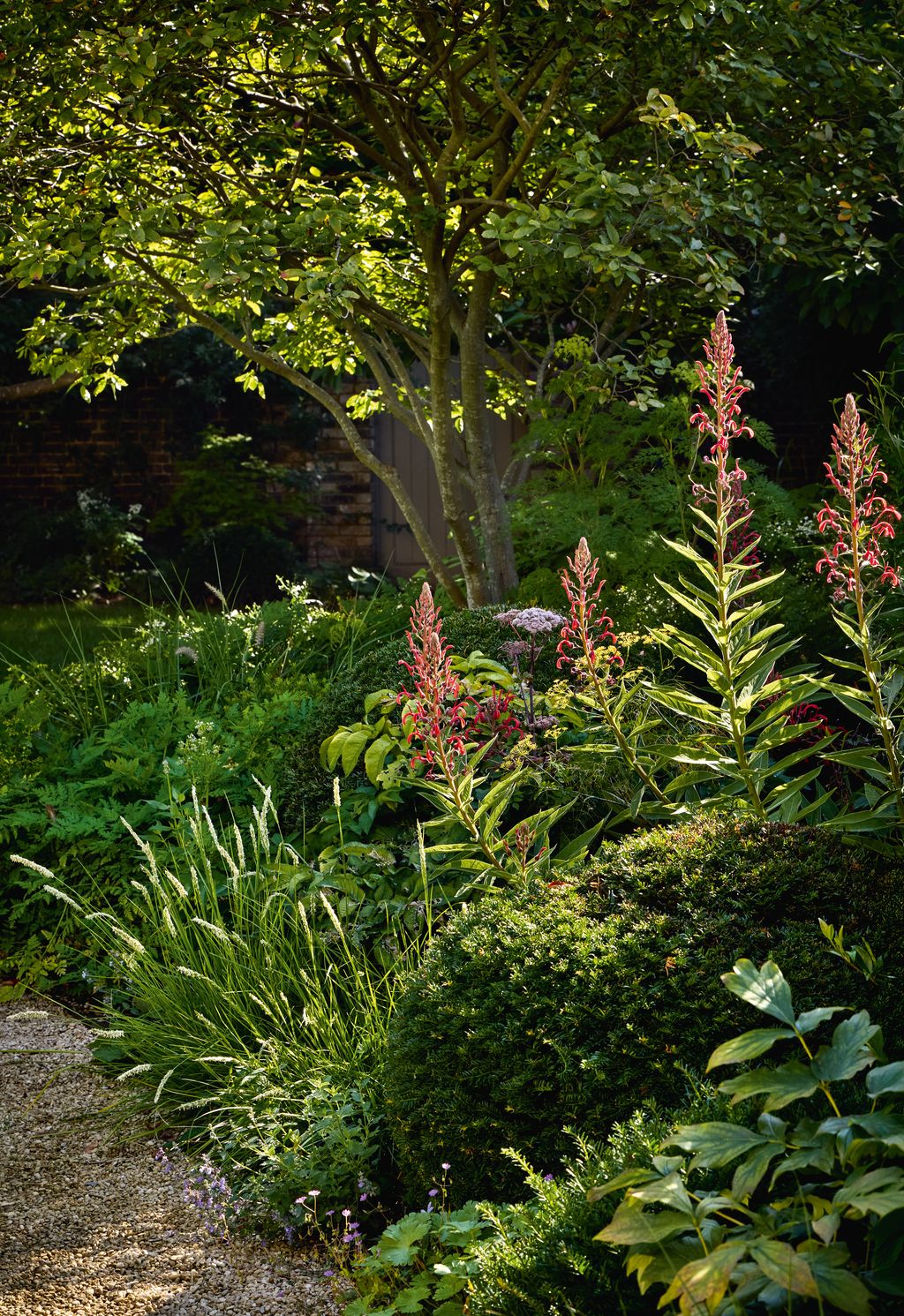 Image may contain Plant Vegetation Garden Nature Outdoors Grass Tree Land Woodland Park Jungle Grove and Flower