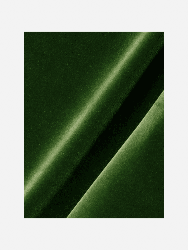 Image may contain: Green, and Velvet