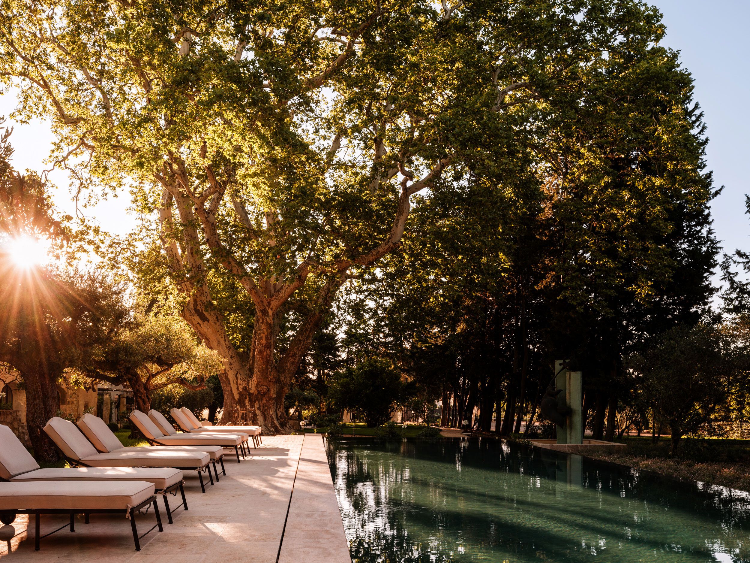 Image may contain: Nature, Outdoors, Scenery, Plant, Tree, Grass, Park, Chair, Furniture, Vegetation, Lakefront, and Water