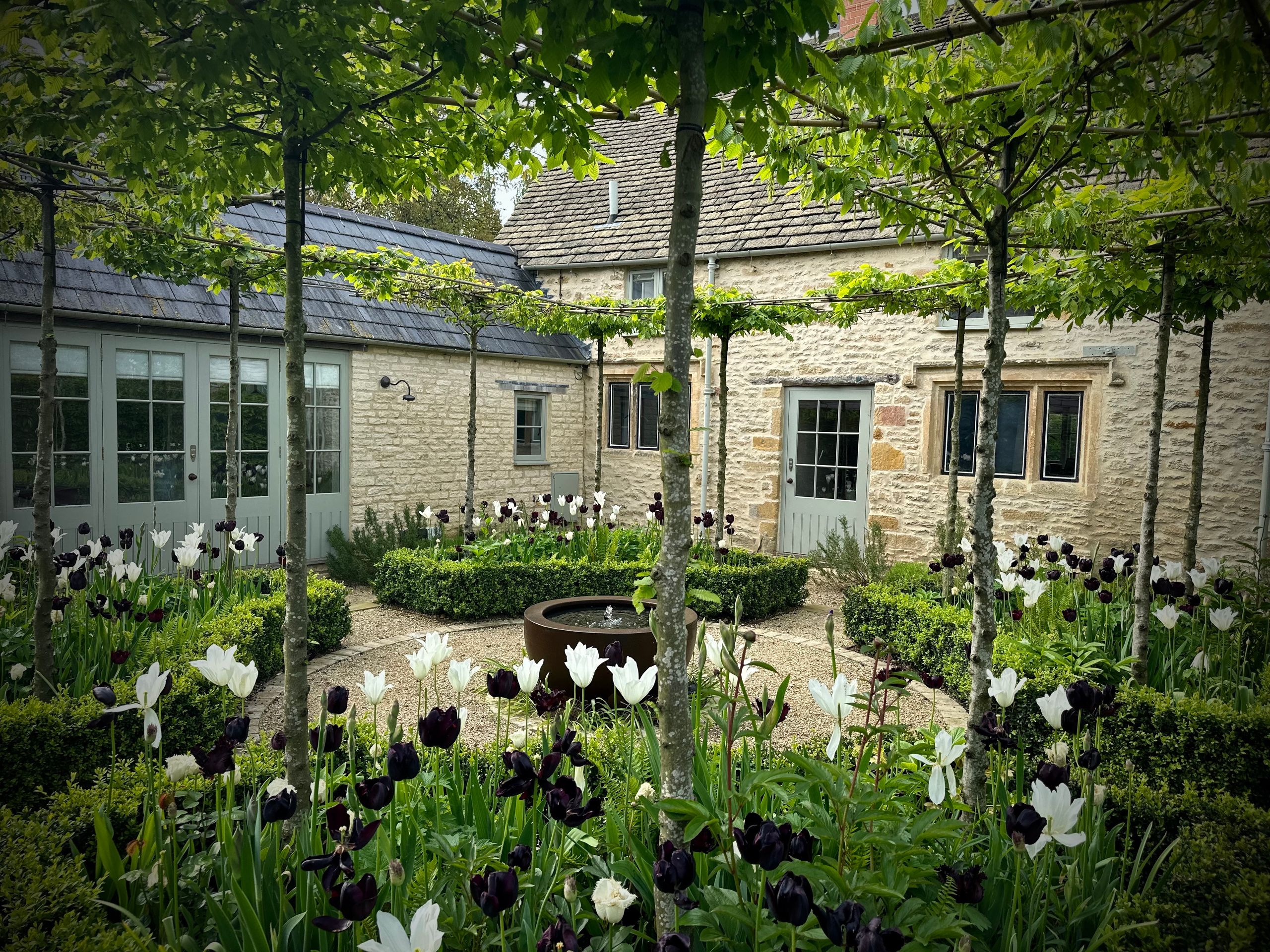 Image may contain: Garden, Nature, Outdoors, Backyard, Yard, Plant, Potted Plant, Grass, Jar, Planter, Pottery, and Vase