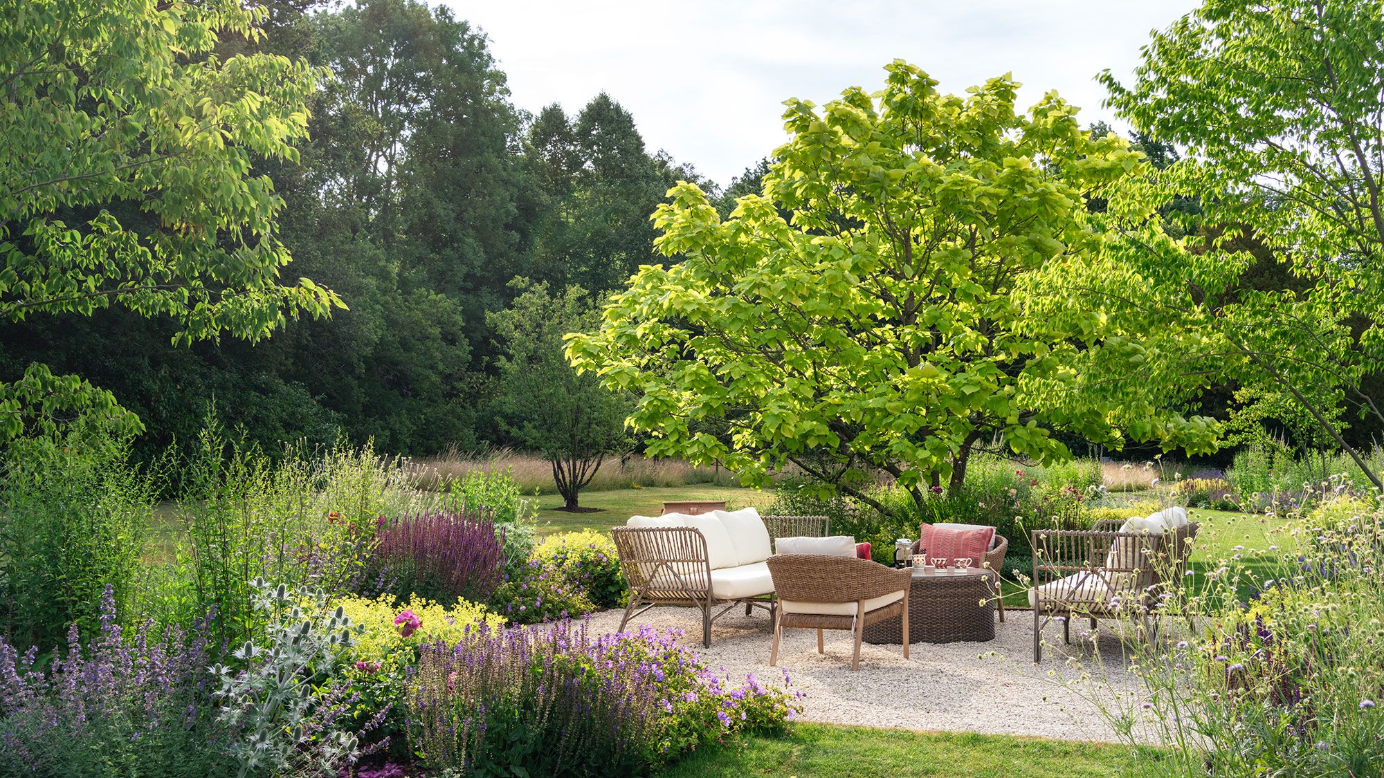 Image may contain: Backyard, Nature, Outdoors, Yard, Grass, Plant, Park, Garden, Vegetation, Grove, Land, Tree, and Woodland