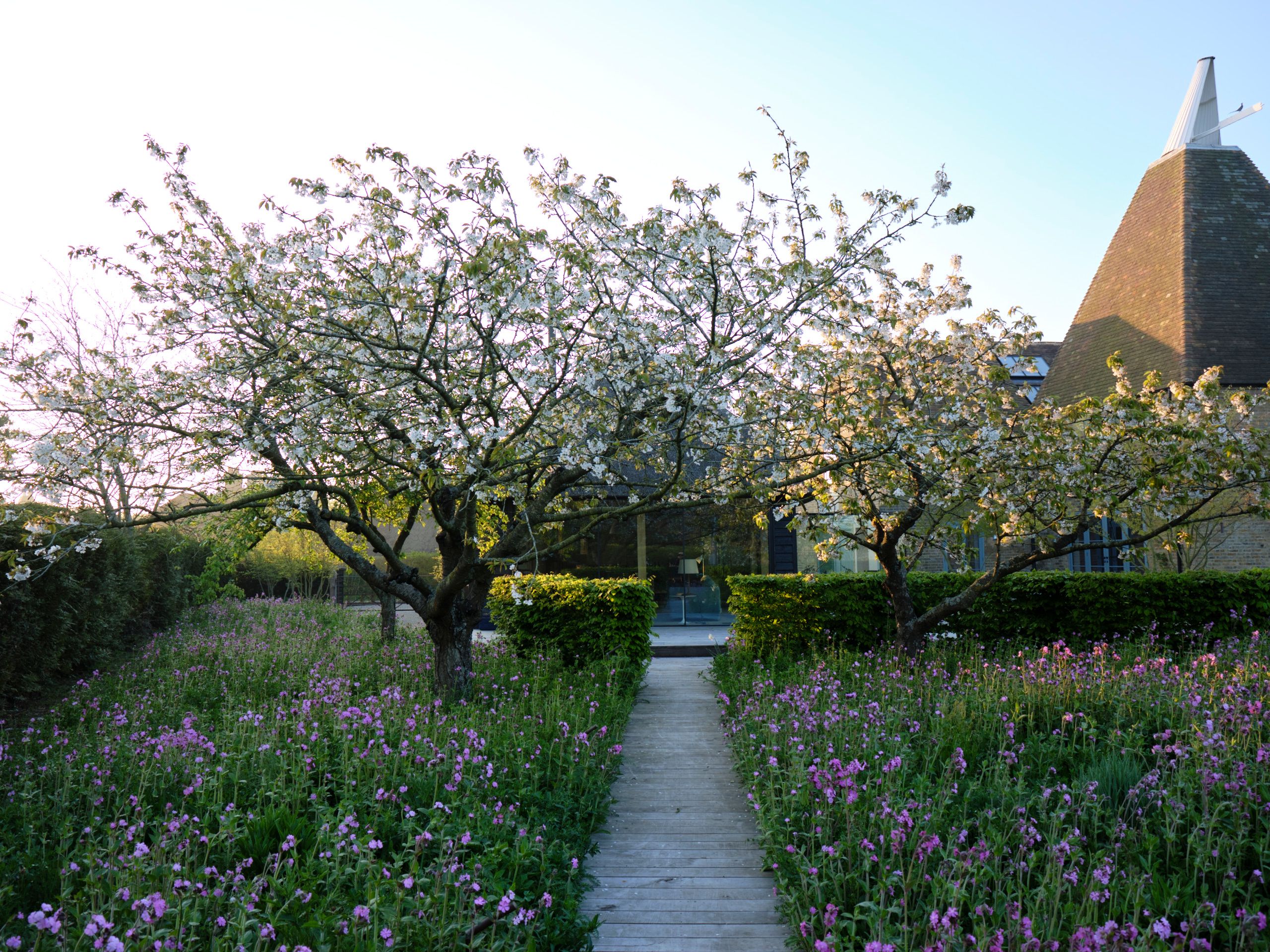 Image may contain: Grass, Plant, Nature, Outdoors, Park, Garden, Vegetation, Flower, Herbal, Herbs, Path, Fence, and Hedge