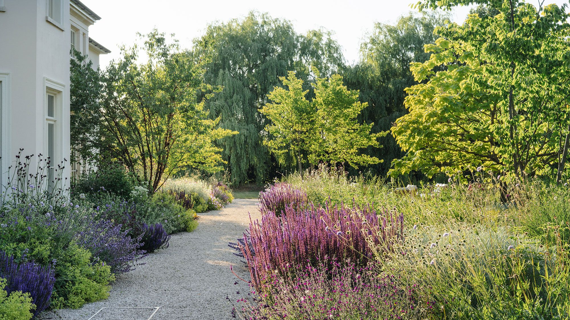 Image may contain: Plant, Vegetation, Herbal, Herbs, Garden, Nature, Outdoors, Land, Tree, Woodland, Grass, Park, and Path