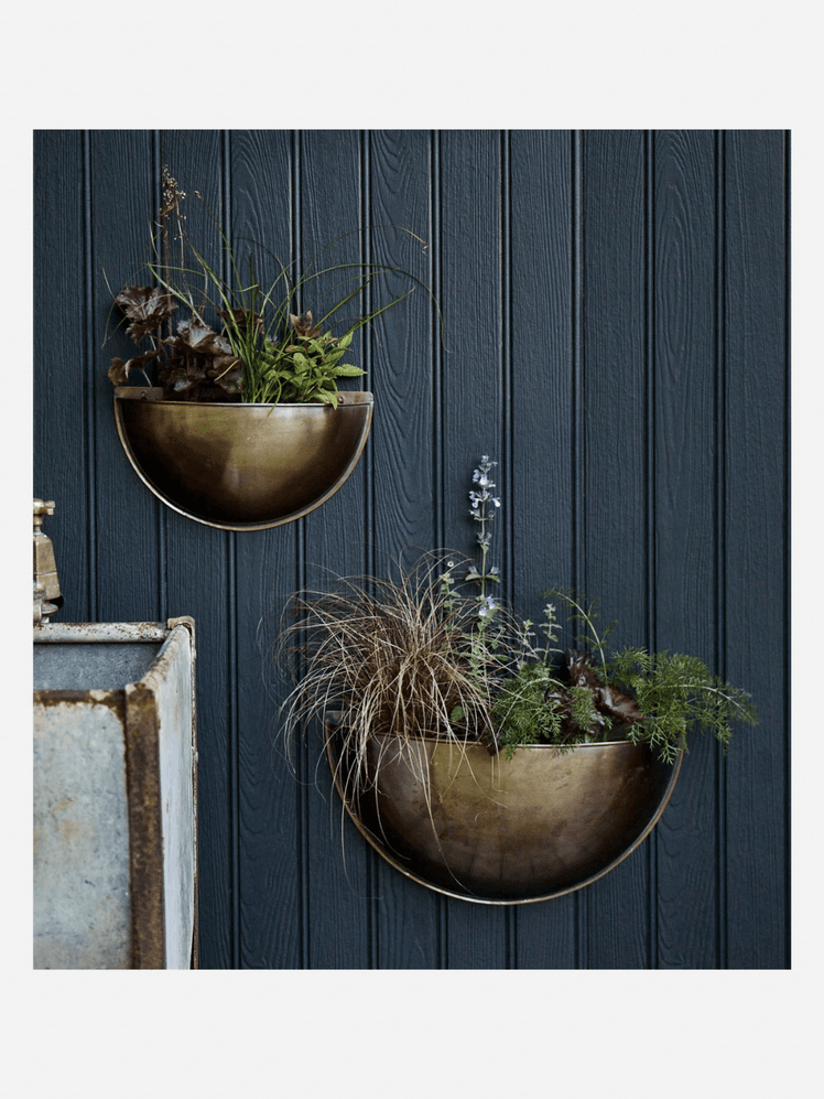 Image may contain: Plant, Potted Plant, Flower, Flower Arrangement, Cookware, Pot, Jar, Planter, Pottery, Vase, and Ikebana