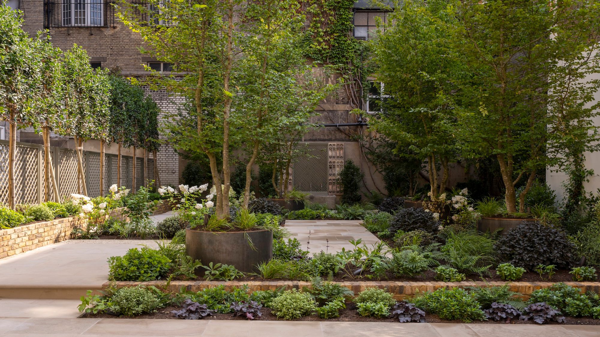 Image may contain: Backyard, Nature, Outdoors, Yard, Garden, Plant, Potted Plant, Grass, Vegetation, City, Jar, and Planter