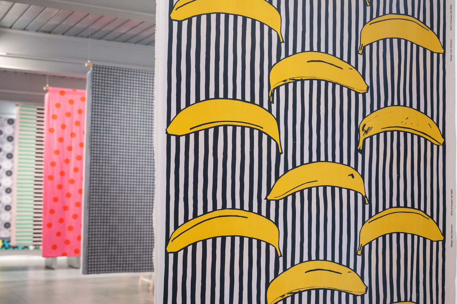 Image may contain Home Decor Indoors Interior Design Food Fruit Plant Produce Banana Curtain Animal and Bird