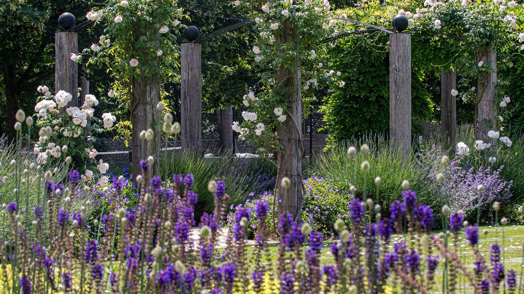 Image may contain: Garden, Nature, Outdoors, Plant, Vegetation, Flower, Grove, Land, Tree, Woodland, Grass, and Yard