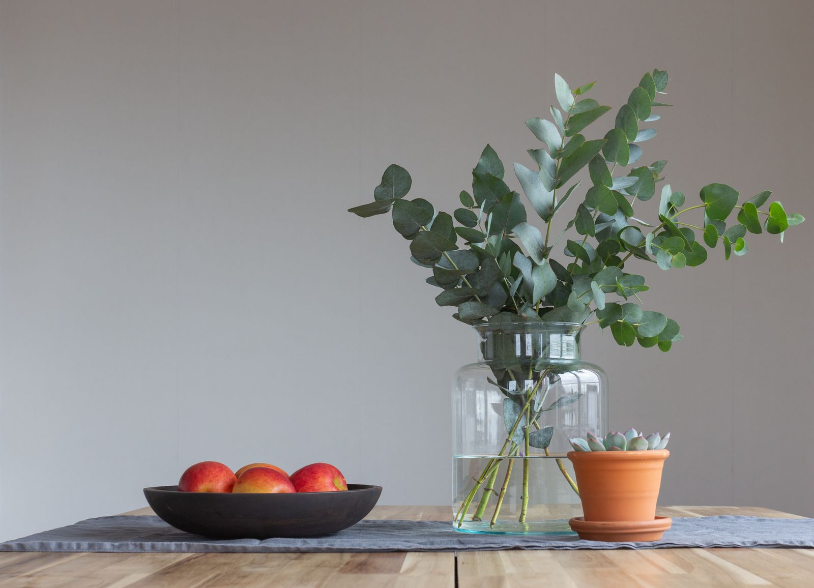 Best Good Luck Plants for Attract Money Health and Positive Vibes at Home. From the lucky bamboo to the money tree and...