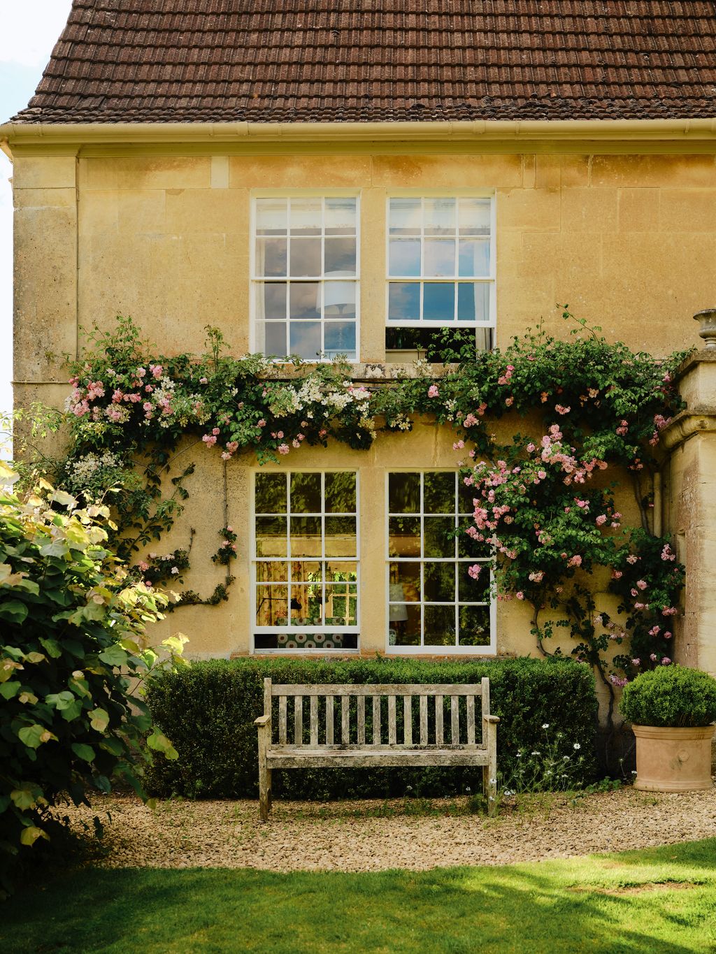 Image may contain Bench Furniture Plant Grass Potted Plant Jar Planter Pottery Vase Garden Nature and Outdoors