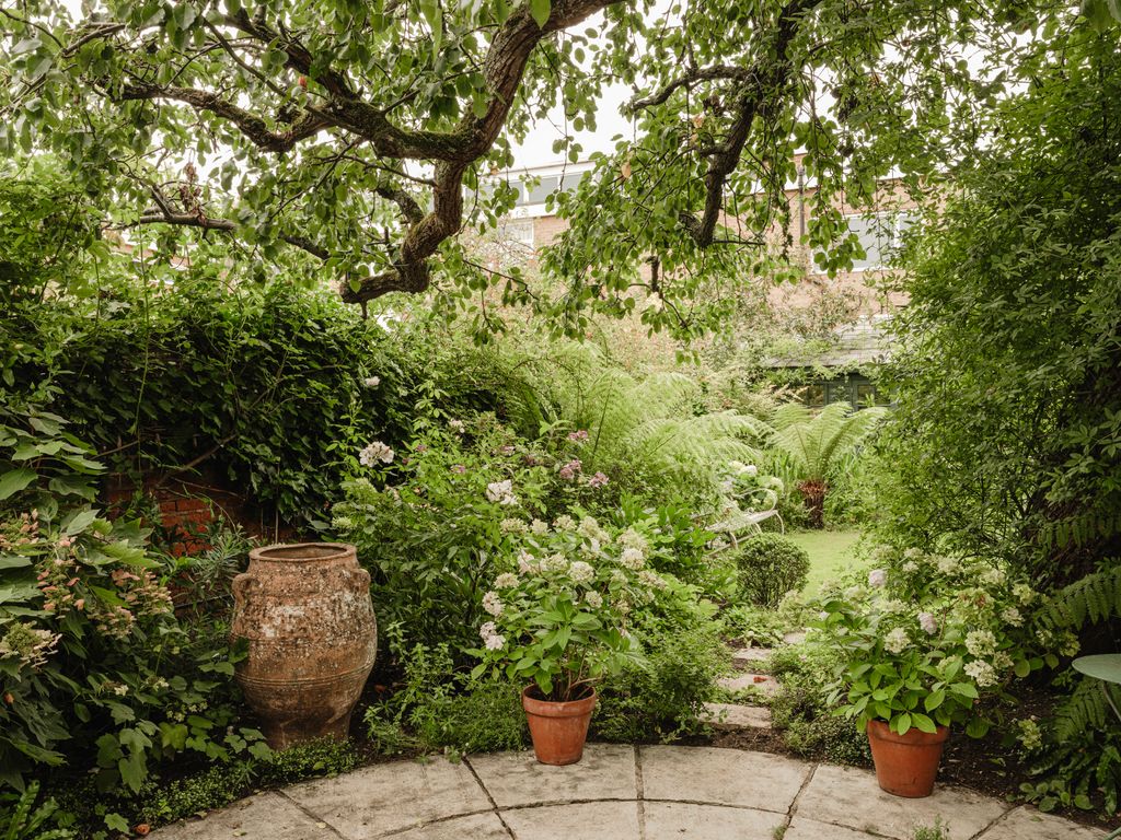 Image may contain Garden Nature Outdoors Backyard Yard Plant Vegetation Herbal Herbs Tree Cookware and Pot