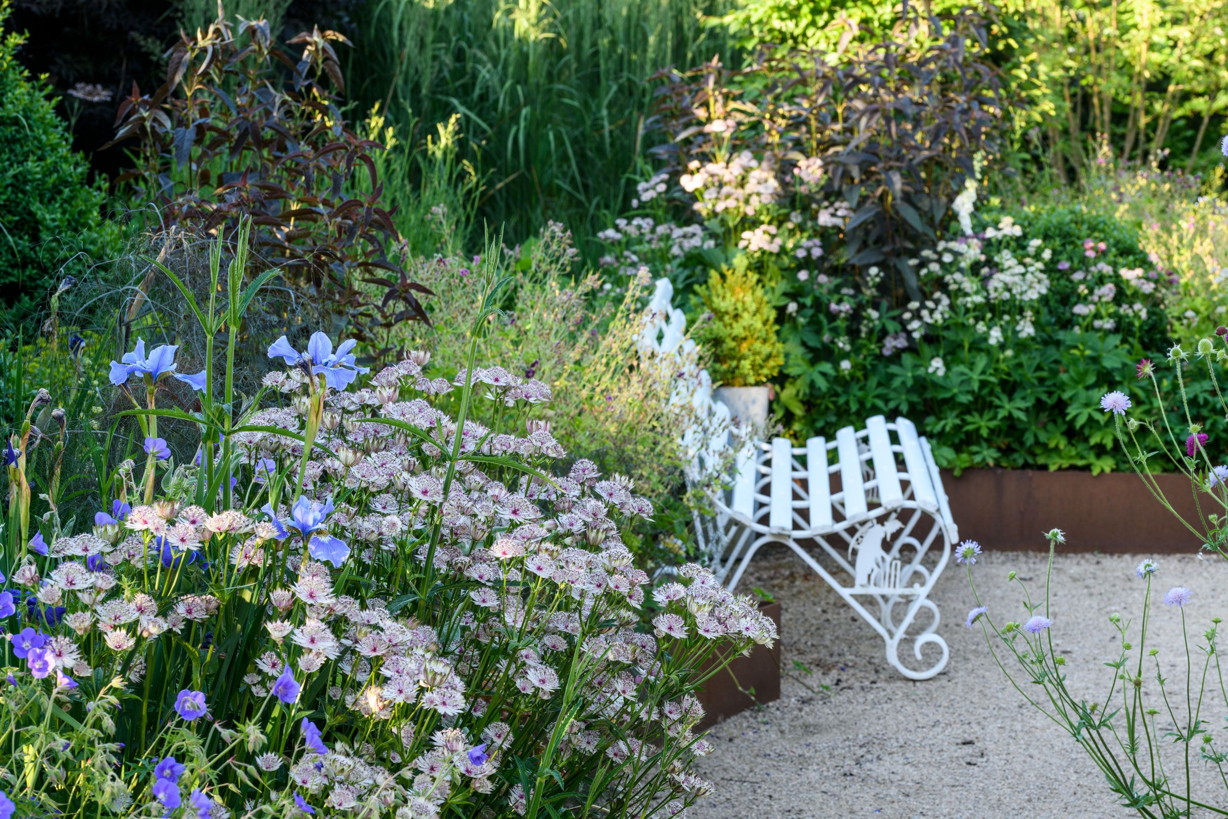 Image may contain: Garden, Nature, Outdoors, Herbal, Herbs, Plant, Jar, Planter, Potted Plant, Pottery, Vase, and Vegetation