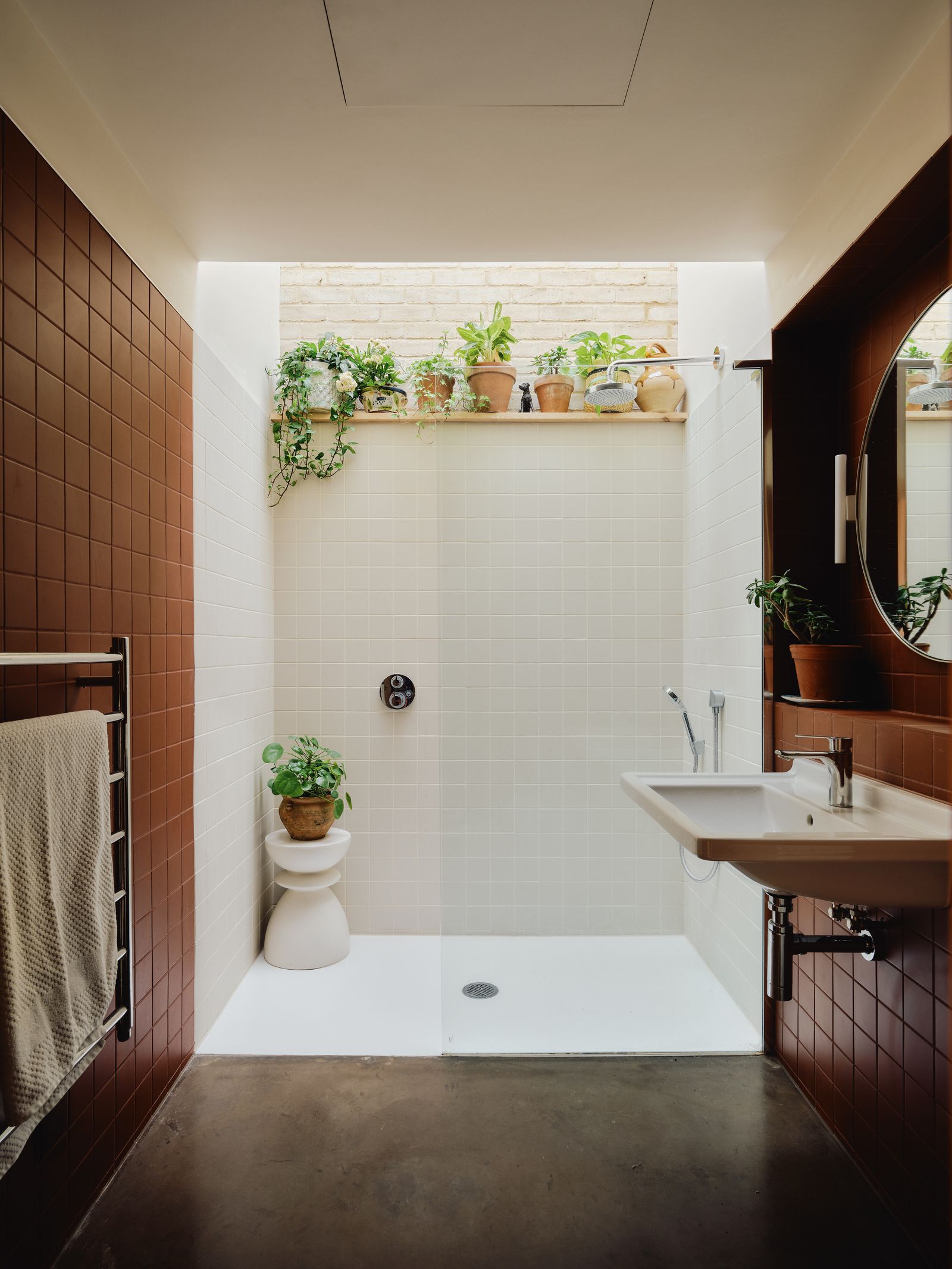 The best plants for a bathroom houseplants that thrive in humidity and low natural light