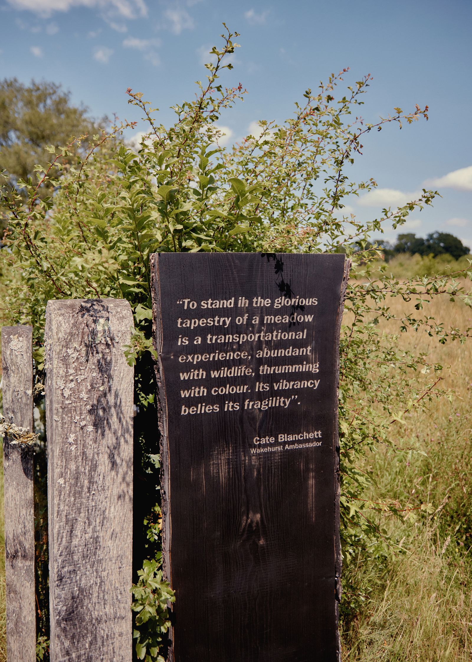 Cate Blanchett photographed at Kew Wakehurst for House  Garden