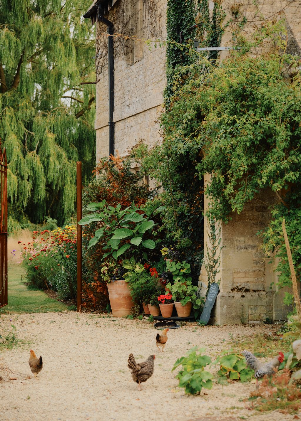 Chickens roam freely in the grounds. ‘This isnt a working farm says Matthew ‘but I like that it has the character of a...