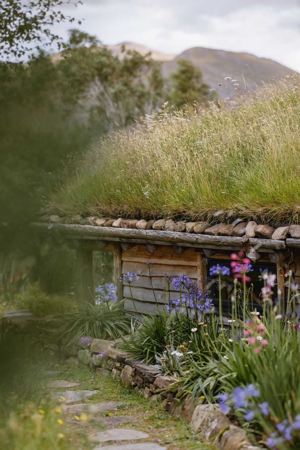 Agapanthus line the bed beside the grassroofed guest bothy.