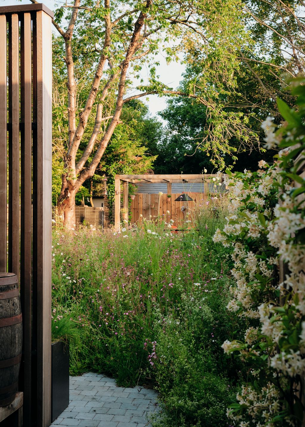 A planted path leads to the dining structure softened with climbers and potted plants.