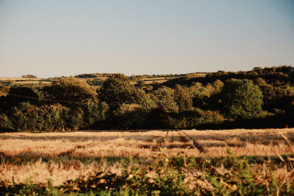 The fields beyond the garden belong to a local farmer and he rents one of them  out to daffodil farmers meaning that...