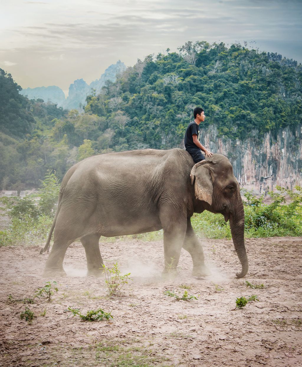 Riding an elephant at a camp near the Pak Ou Caves.