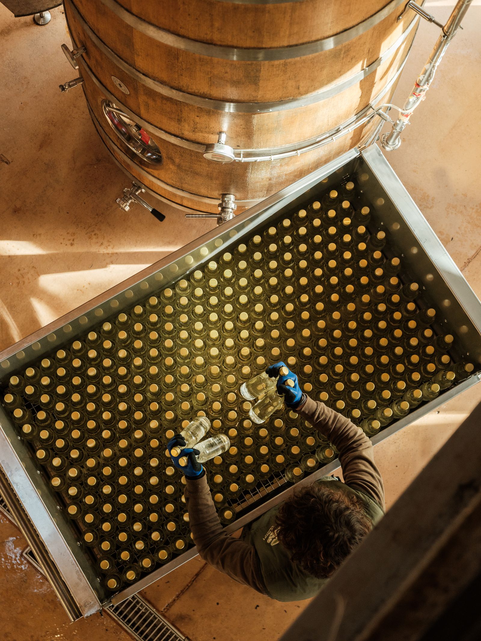 Cyder making at The Newt