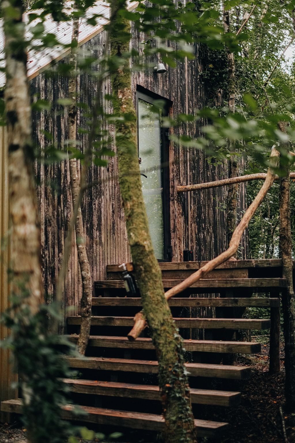 Finn Lough is the kind of wild spa you might find in Finland or Japan. Occupying a 100acres of woodland in the Fermanagh...