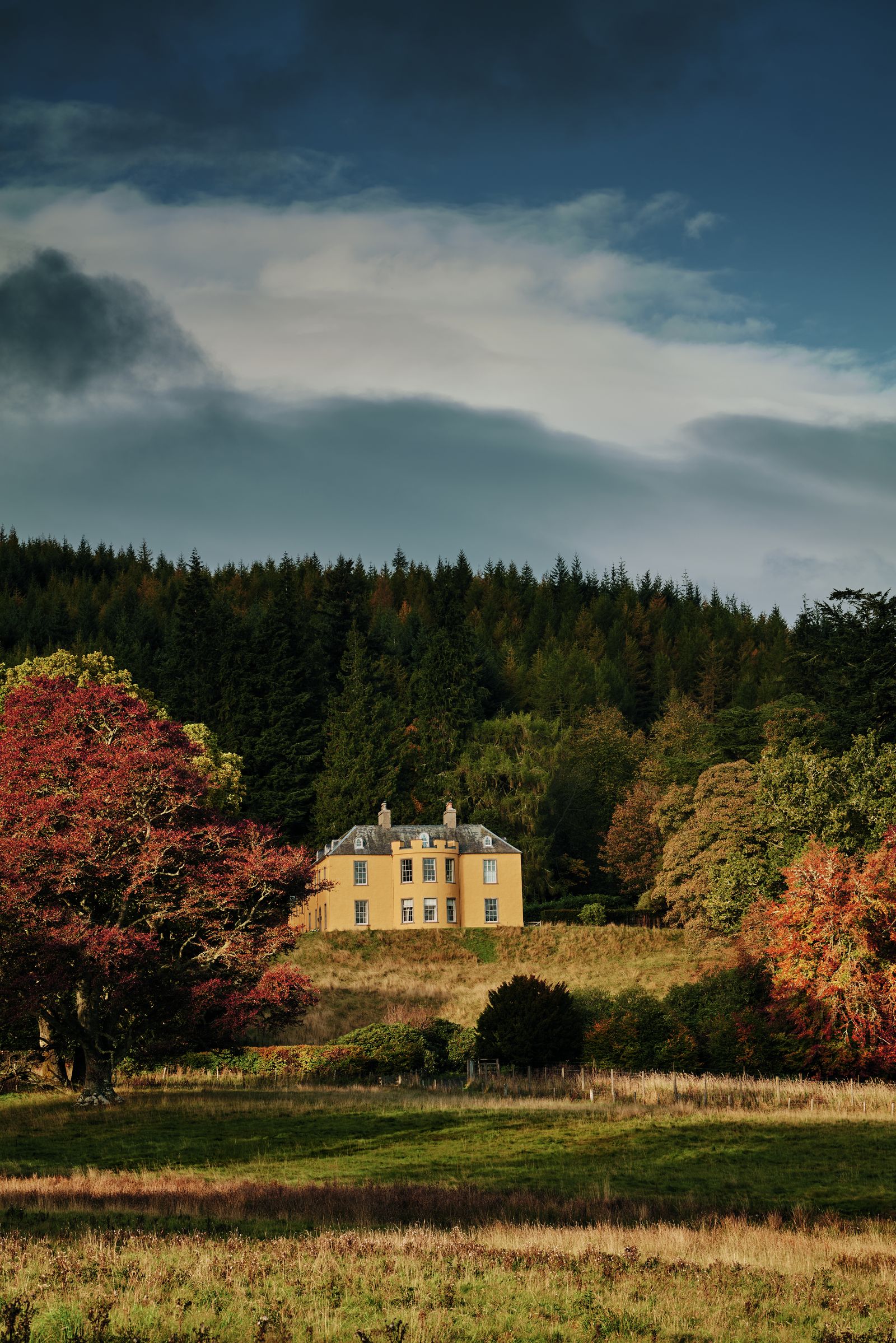 What not to miss from our new December issue